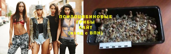 экстази Алзамай