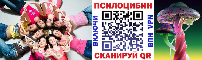 хочу   Ишим  Псилоцибиновые грибы Cubensis 
